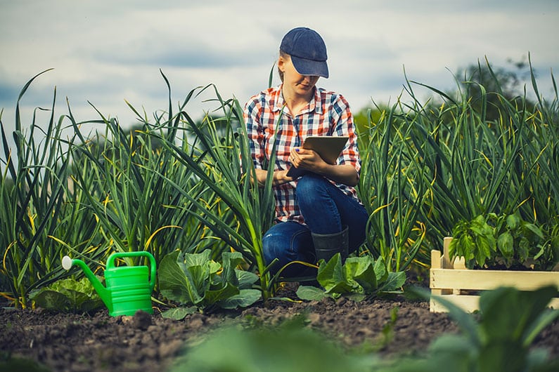 RFID in der Landwirtschaft – wie die moderne Technik den Bauern hilft